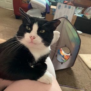 Meet your Posher, Daniel